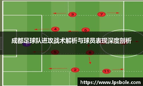 星空体育平台app